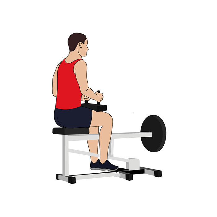 Seated Calf Raise Matttroy